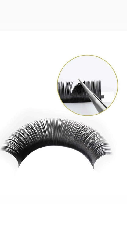 Eyelash Extensions Training